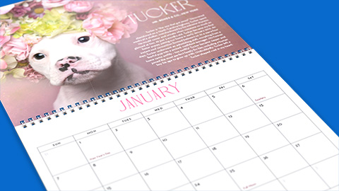 Calendario